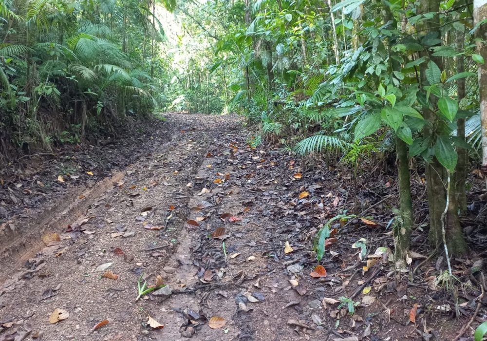 3845a820-c985-4406-957f-e0a849ad2499