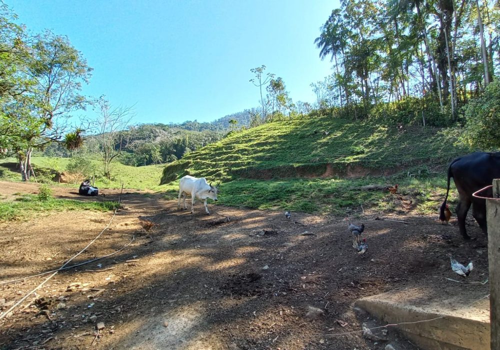 41547688-451e-47bf-8989-ca4a873bb7a7