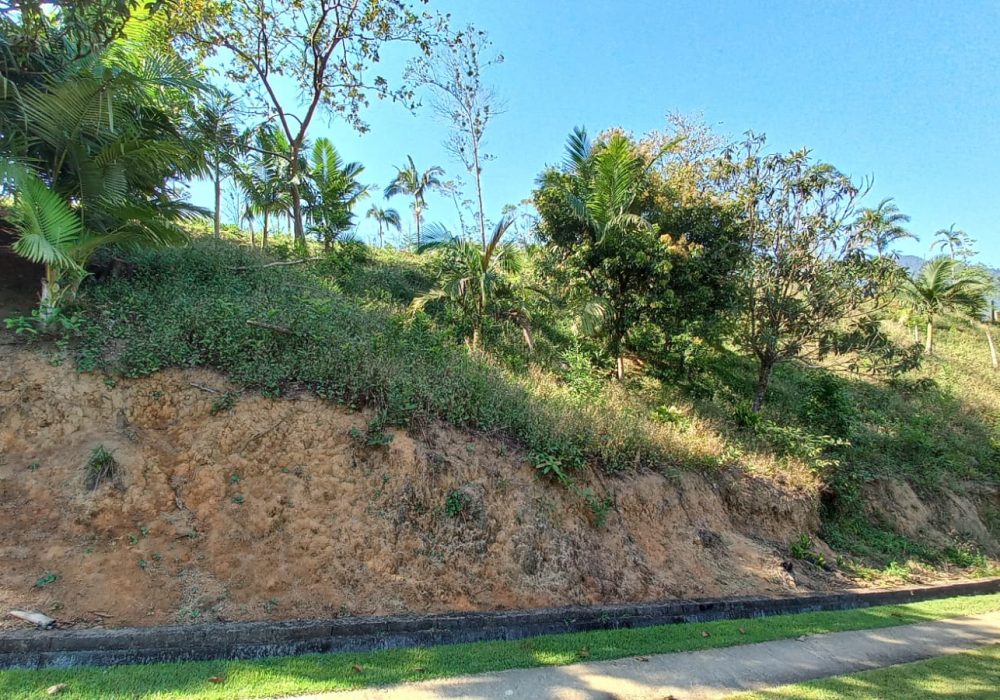 5085371c-c51e-4a50-97dc-7601b54f4e5d