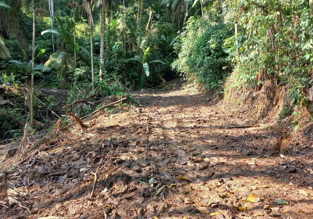 62453f51-2d5f-4496-b2a3-f4ca873a8b29