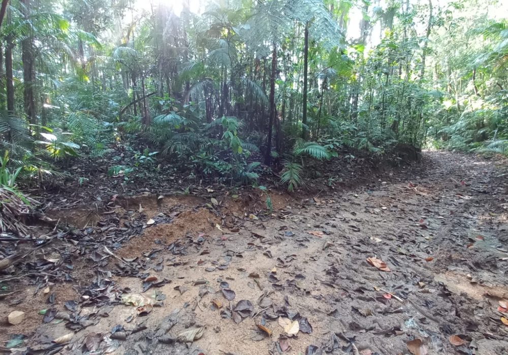 6252bb03-6d2f-49c5-b102-e1b1d73e65f4