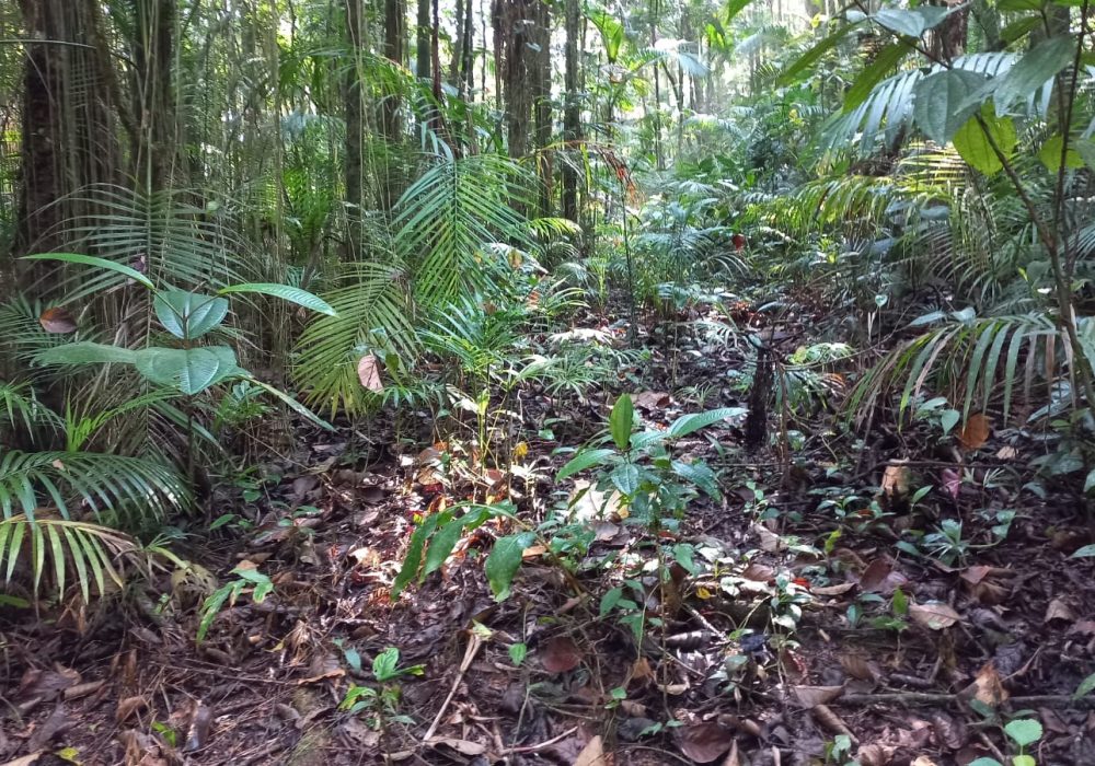 6cfb35b9-b534-4a30-b136-6870c6516379