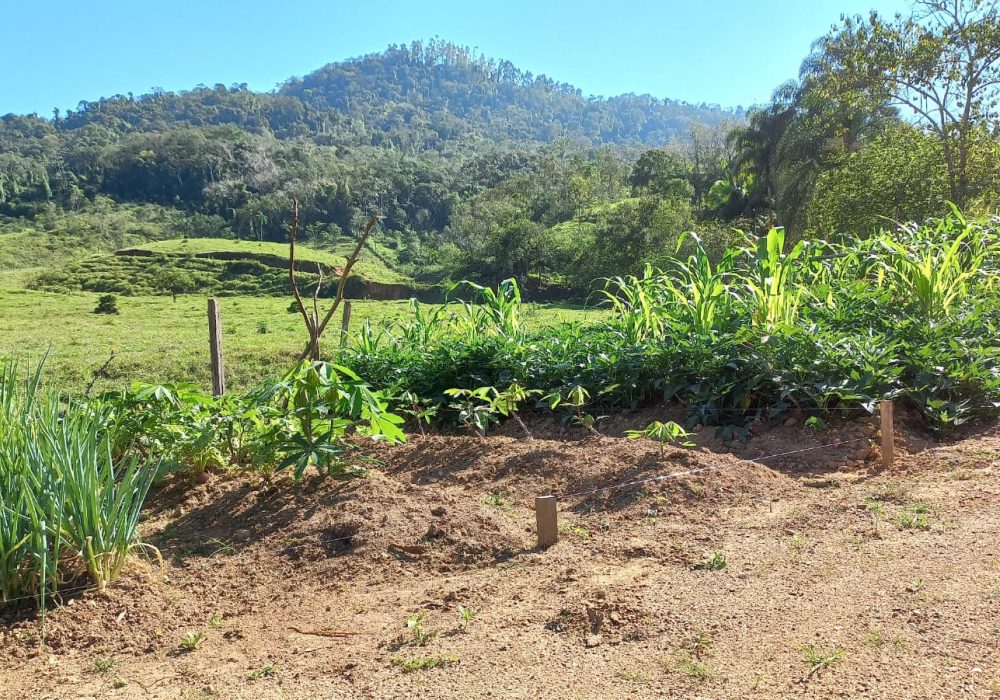 91d4b0bb-7da0-43c1-b709-787c3a3a9fc2