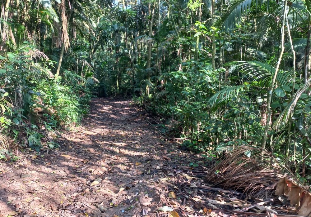 92890d78-f524-4902-9a44-7f95461349f9