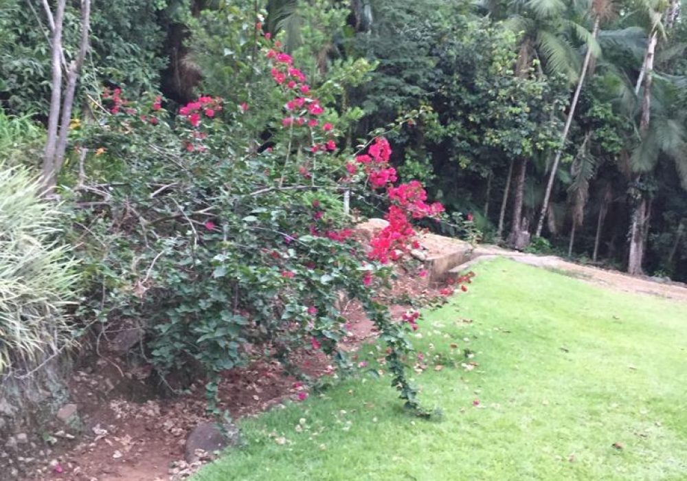 Imagem do WhatsApp de 2024-01-04 à(s) 13.30.33_e866b3b2