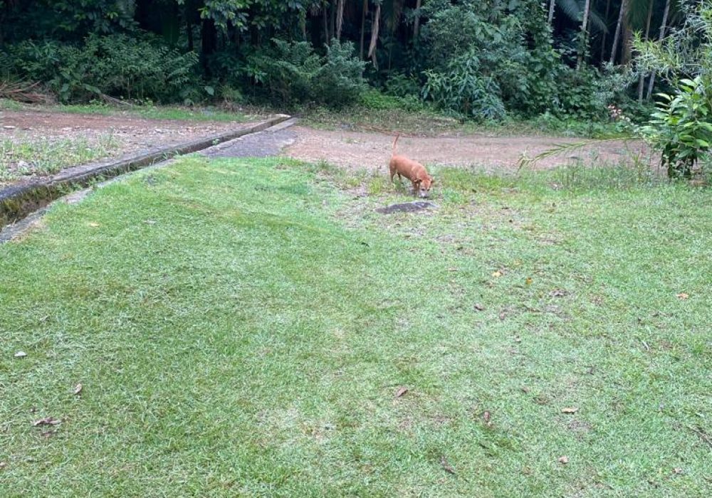 Imagem do WhatsApp de 2024-01-04 à(s) 13.30.35_7e7e650f