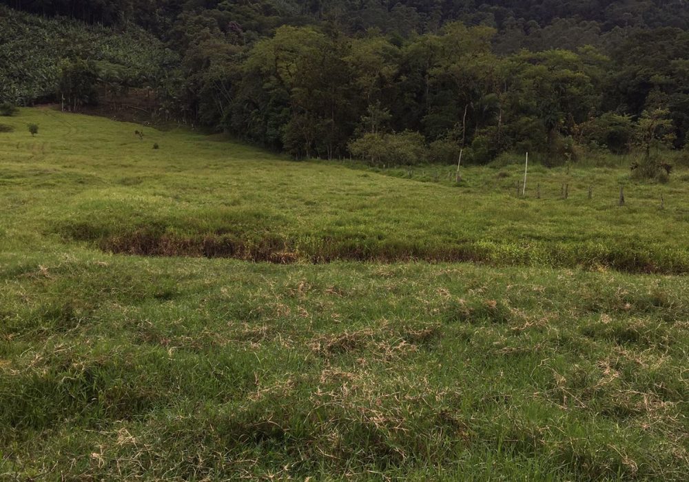 WhatsApp Image 2024-07-25 at 19.00.28 (2)