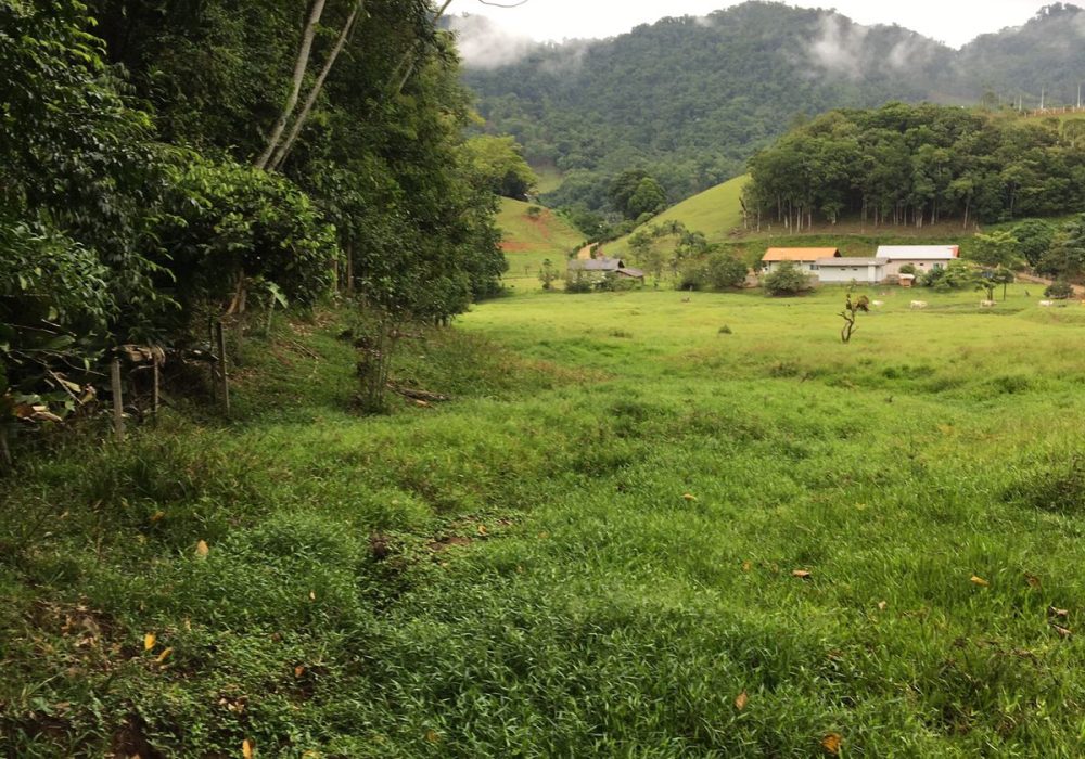 WhatsApp Image 2024-07-25 at 19.00.29