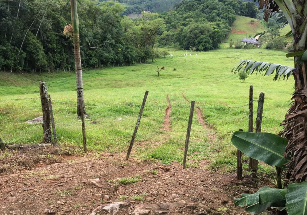 WhatsApp Image 2024-07-25 at 19.00.30 (1)