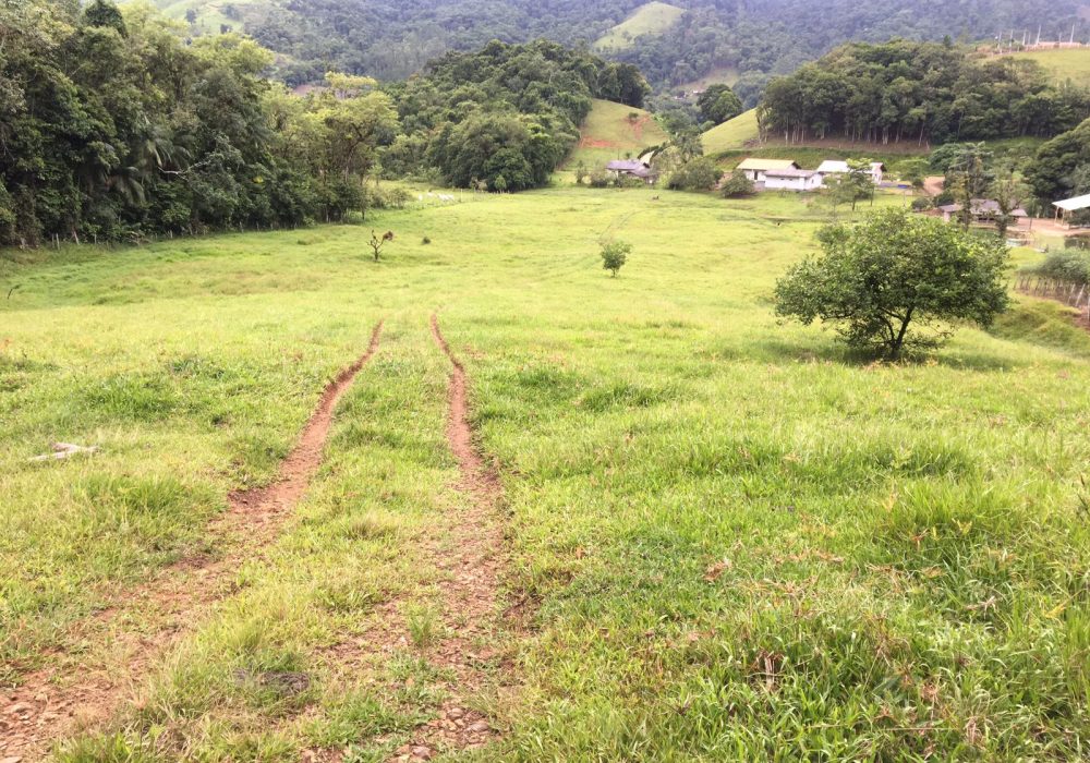 WhatsApp Image 2024-07-25 at 19.00.30 (2)