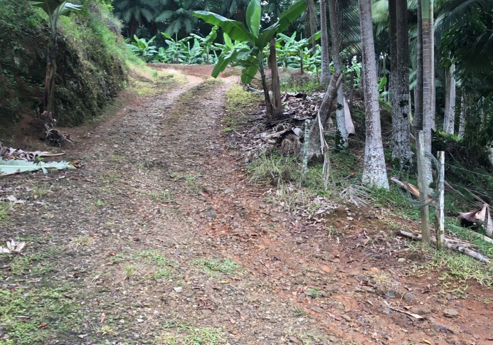 WhatsApp Image 2024-07-25 at 19.00.30