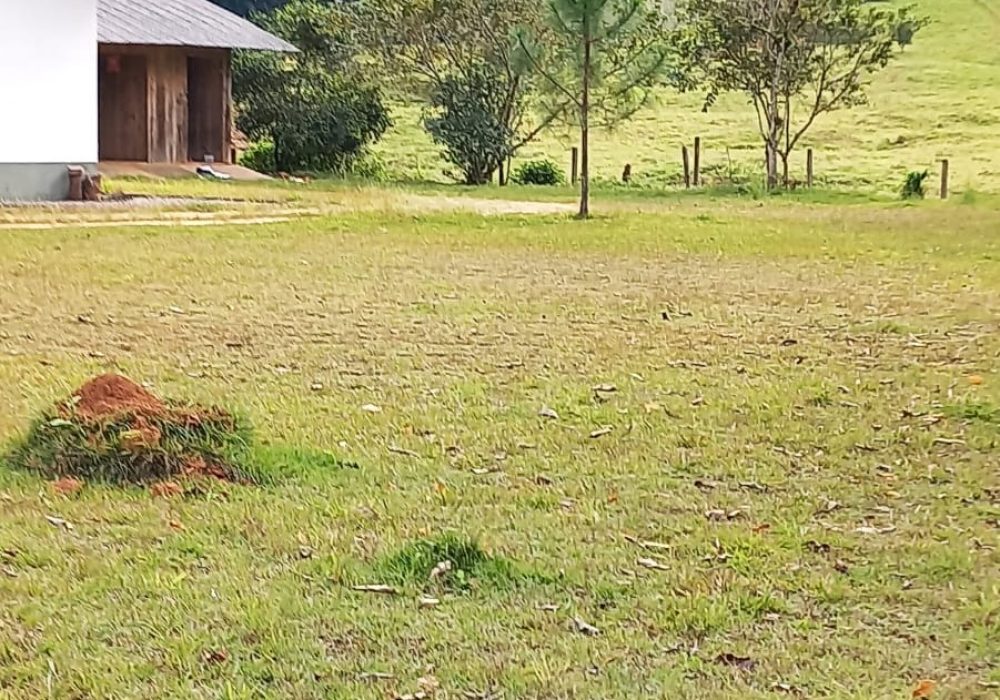 WhatsApp Image 2024-07-25 at 19.00.31 (1)