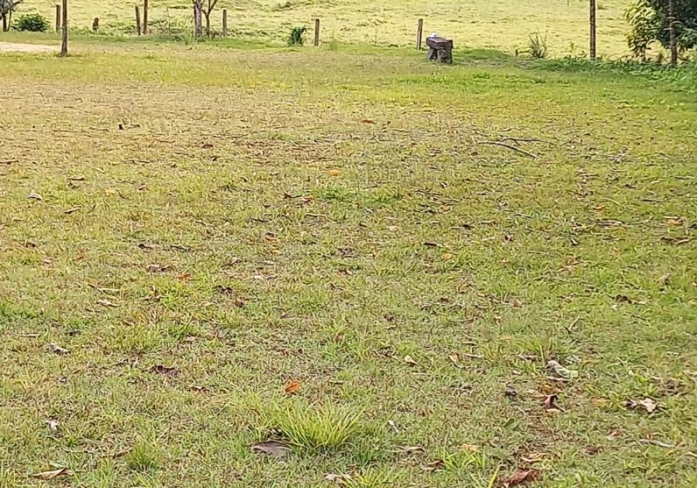 WhatsApp Image 2024-07-25 at 19.00.31