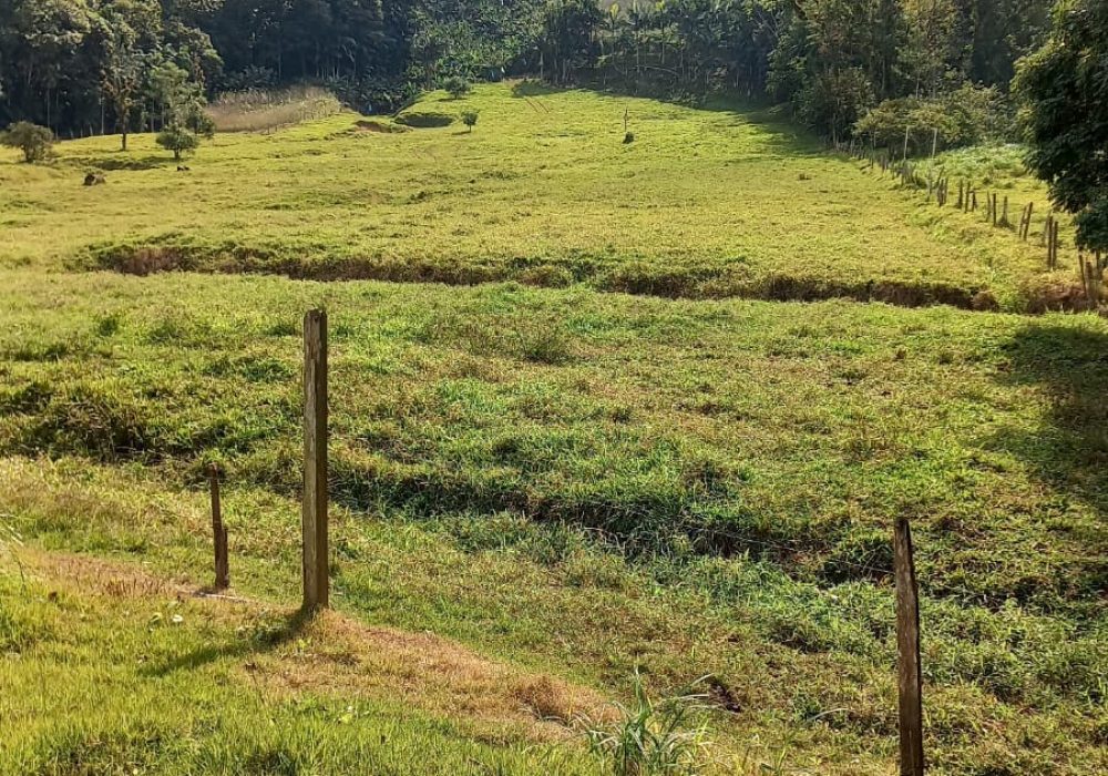 WhatsApp Image 2024-07-25 at 19.00.32 (1)