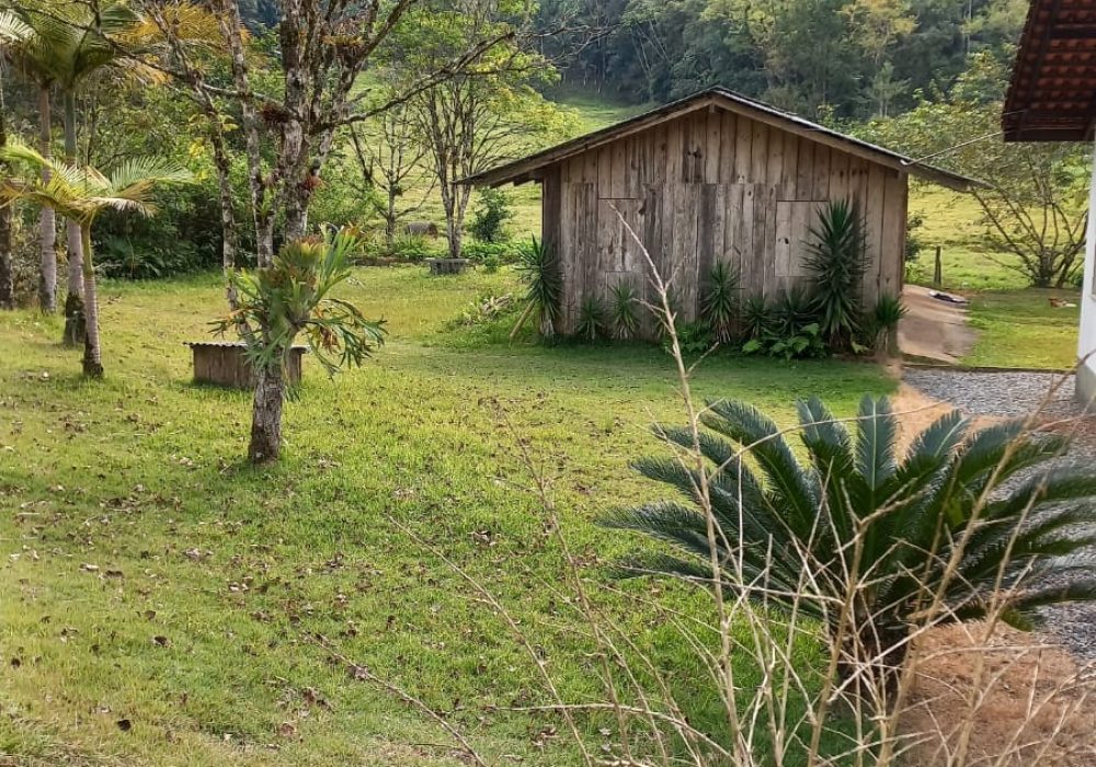 WhatsApp Image 2024-07-25 at 19.00.33 (1)