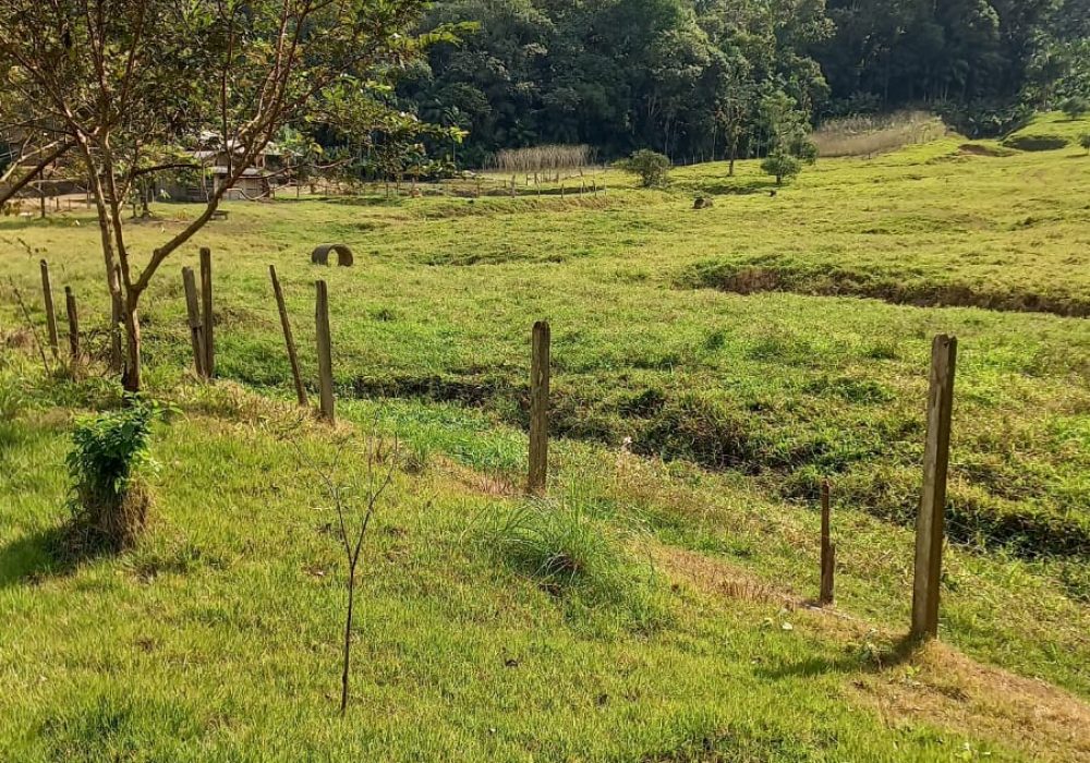 WhatsApp Image 2024-07-25 at 19.00.33 (2)