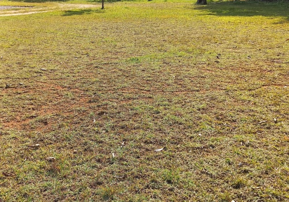 WhatsApp Image 2024-07-25 at 19.00.33