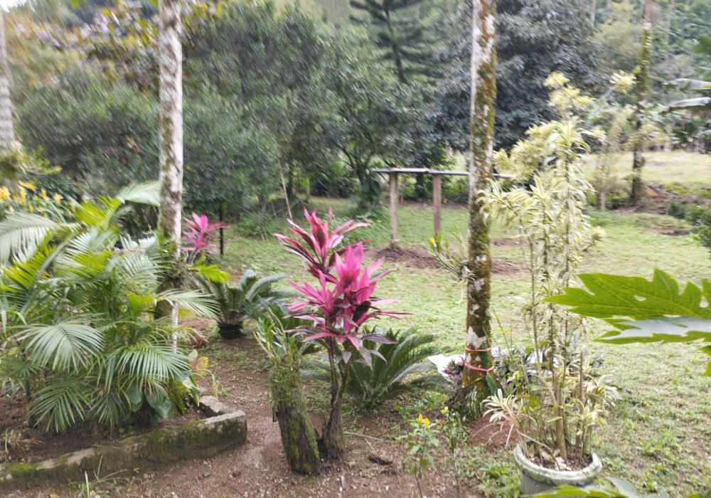 WhatsApp Image 2024-08-01 at 16.00.55 (1)