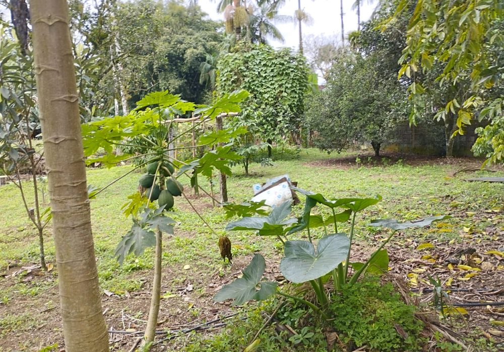 WhatsApp Image 2024-08-01 at 16.00.55 (2)