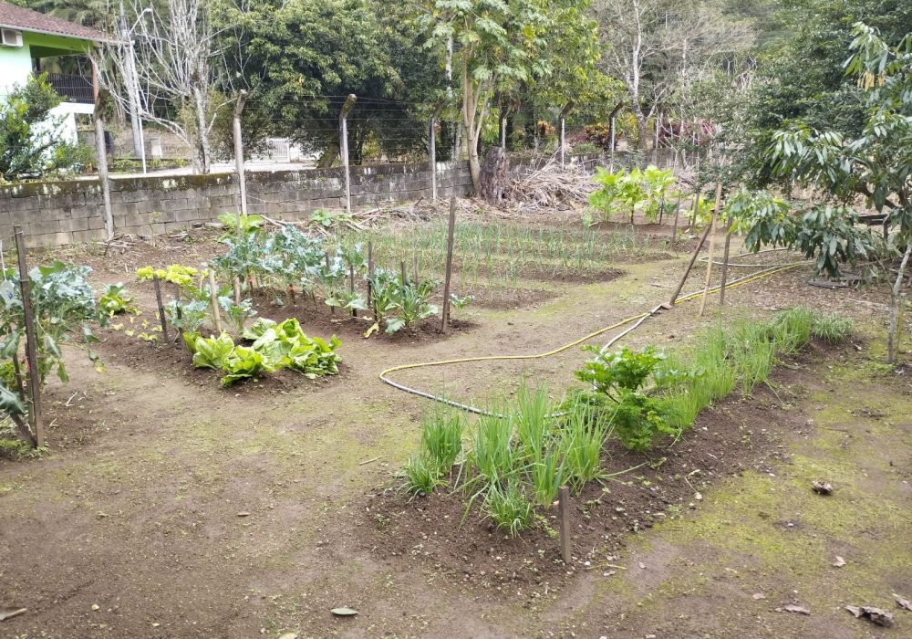 WhatsApp Image 2024-08-01 at 16.00.55 (3)