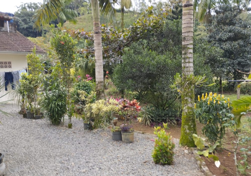 WhatsApp Image 2024-08-01 at 16.00.55