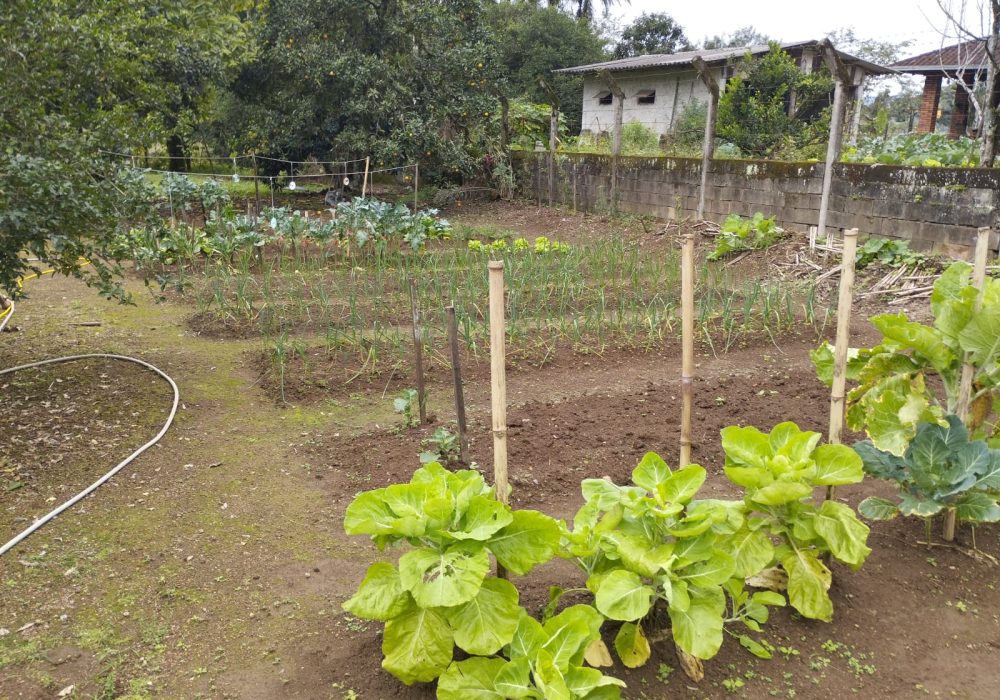 WhatsApp Image 2024-08-01 at 16.00.56