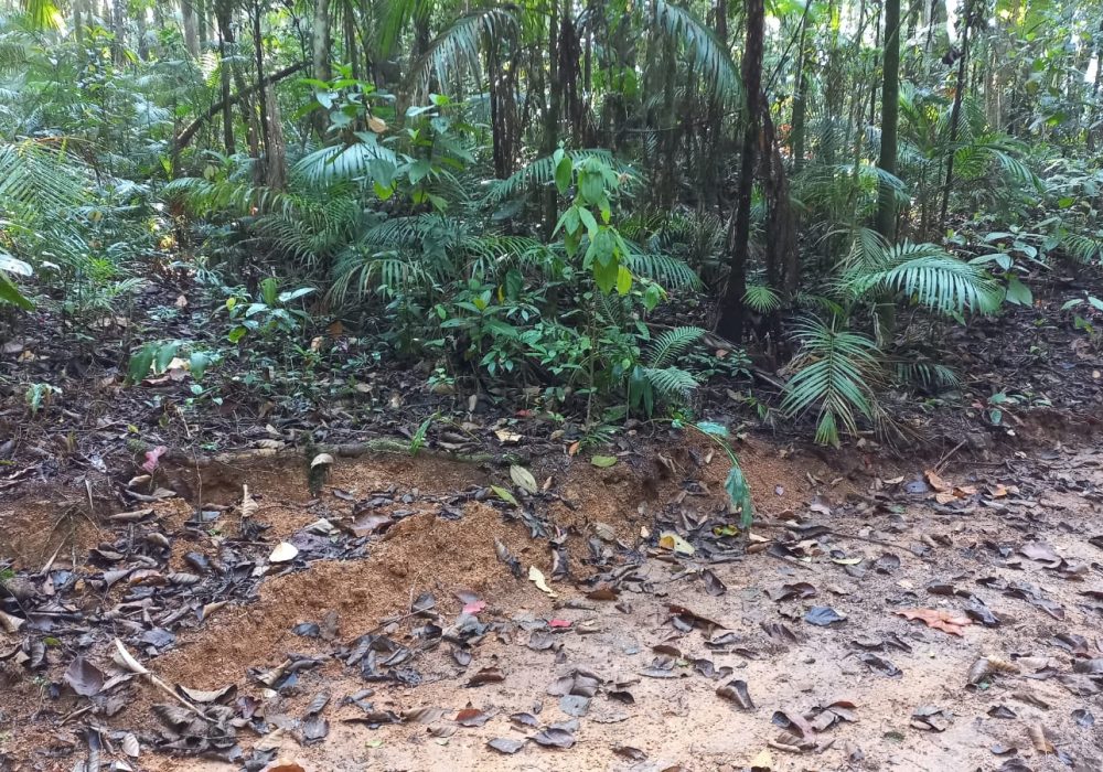 a79f5f92-7b23-4ade-b1fd-3acc66ae063c