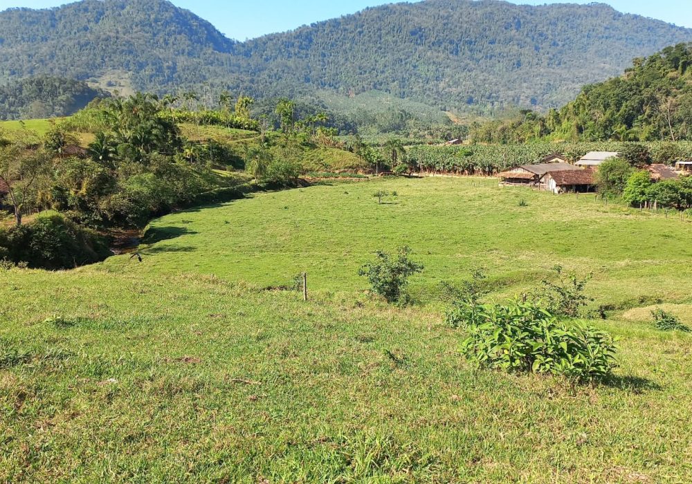 ab876809-d0cf-40e5-8747-6611b8d09545