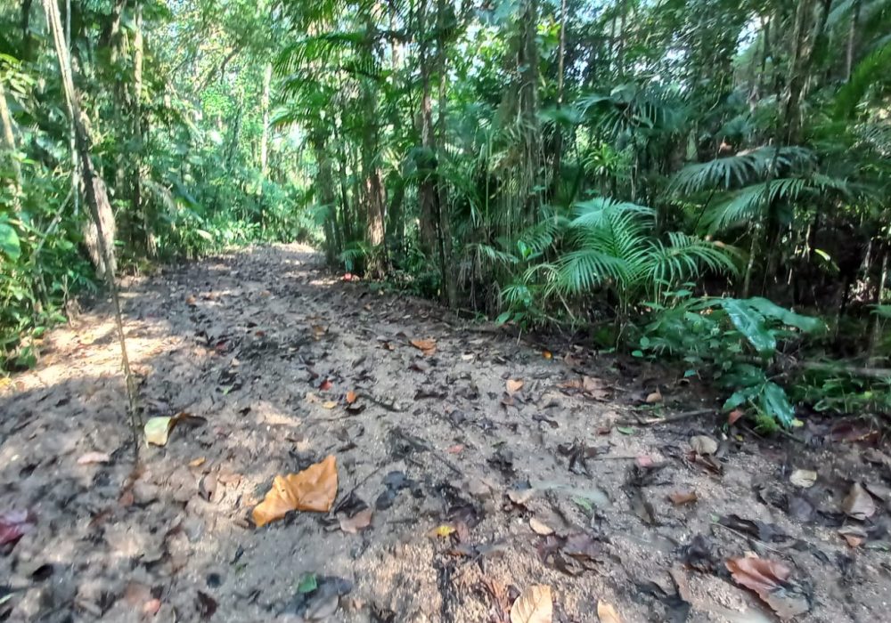 b2971b62-71b7-4f4a-b817-3ca60b95078d