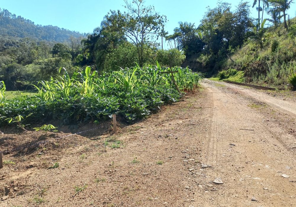 b56c718e-7852-4518-a37f-3a30395da7f2