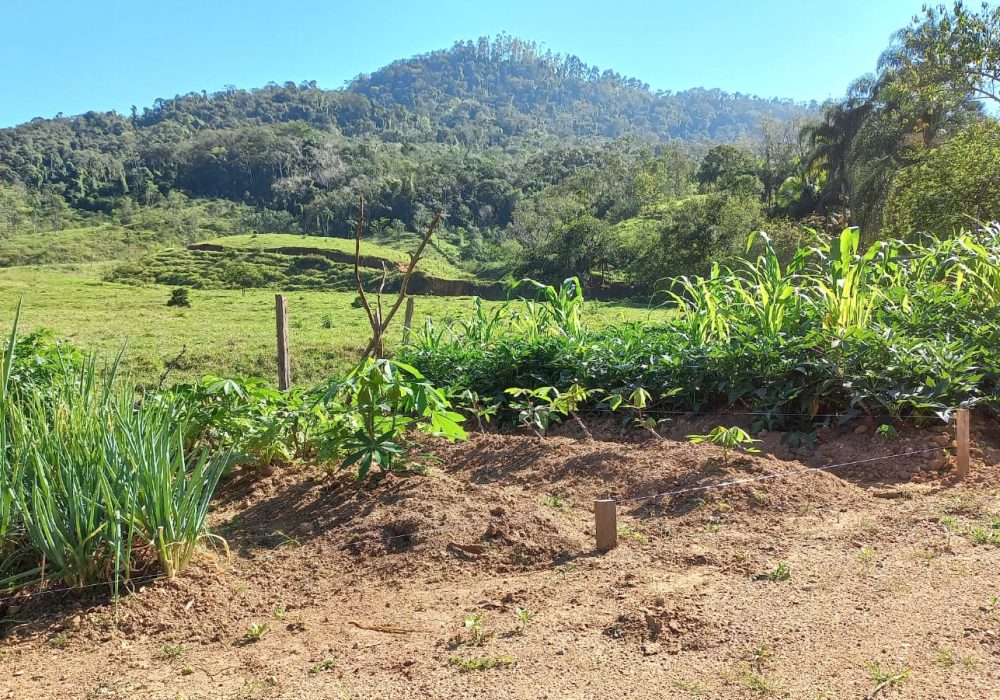 c8418ba9-f50c-4020-9de7-ed4b3cb8e3b6