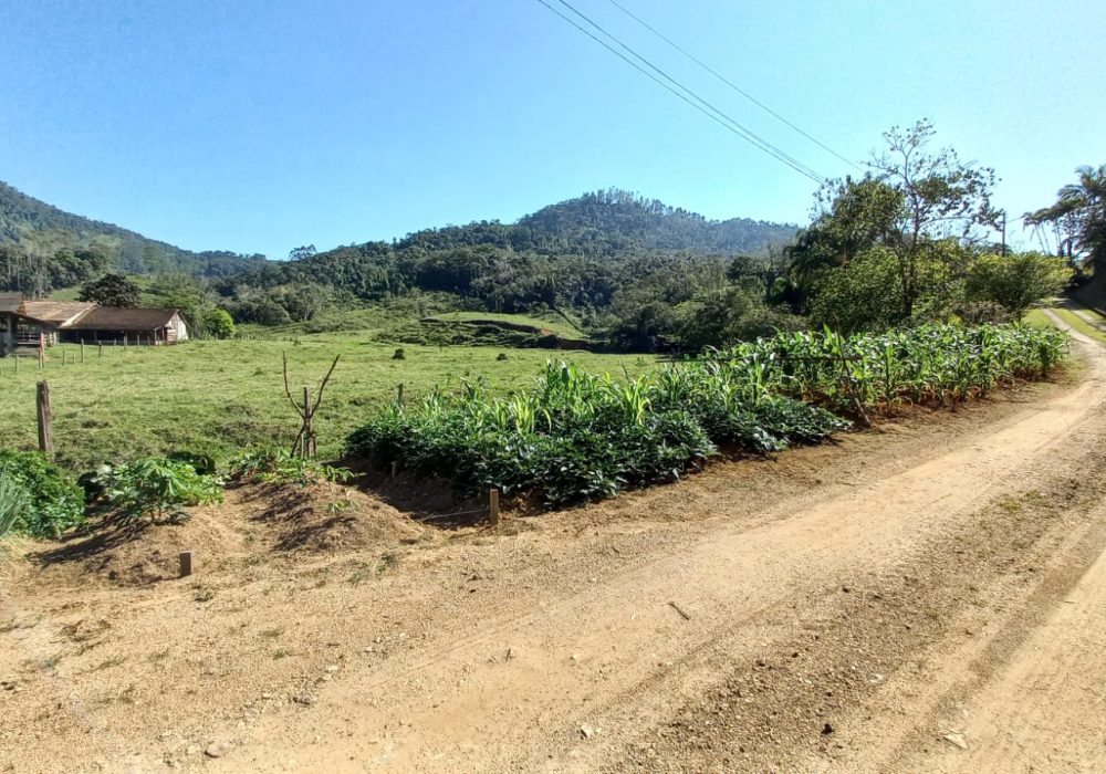 c9f9a7c8-76cb-483e-aef2-f5e2cfa3a62c