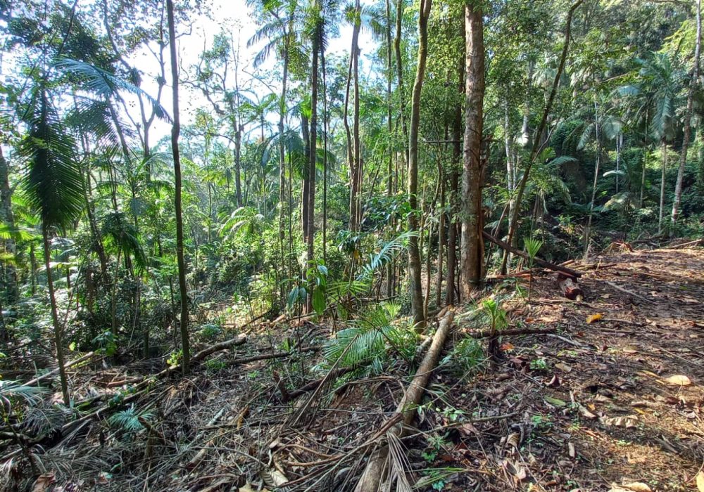 cc3c5c0d-64fb-4b3f-9bb7-a73b2578e349