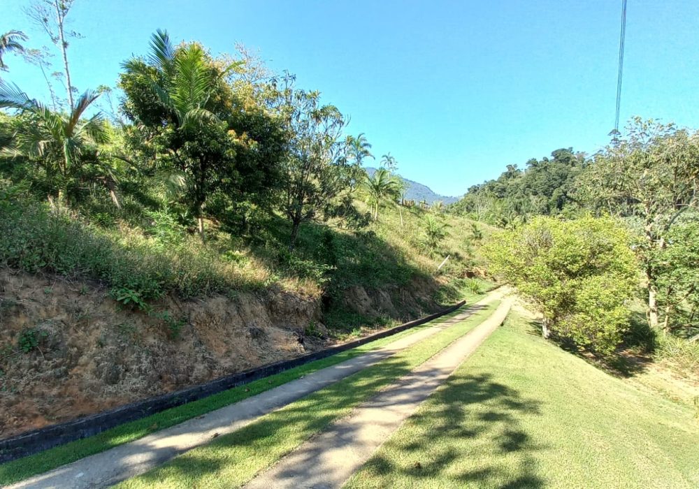 f1535321-4fbc-4bd7-b7a7-5f7745434387