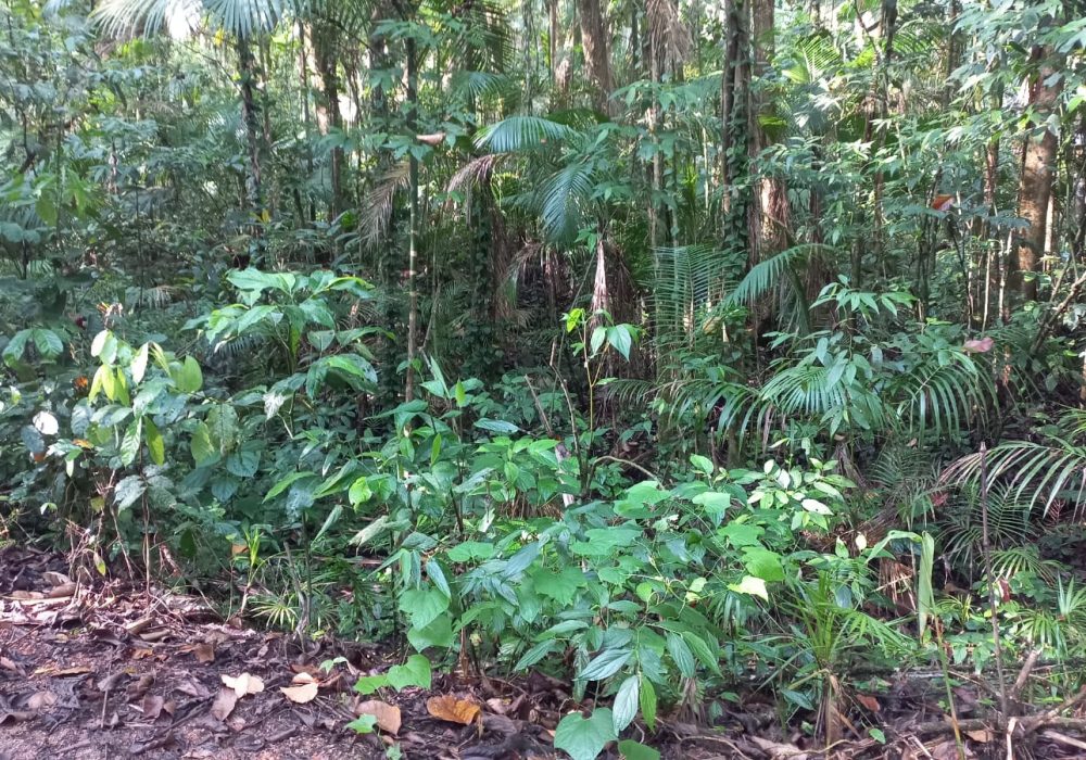 f267bc90-8ba1-4e57-a2b5-0bca8990c0af