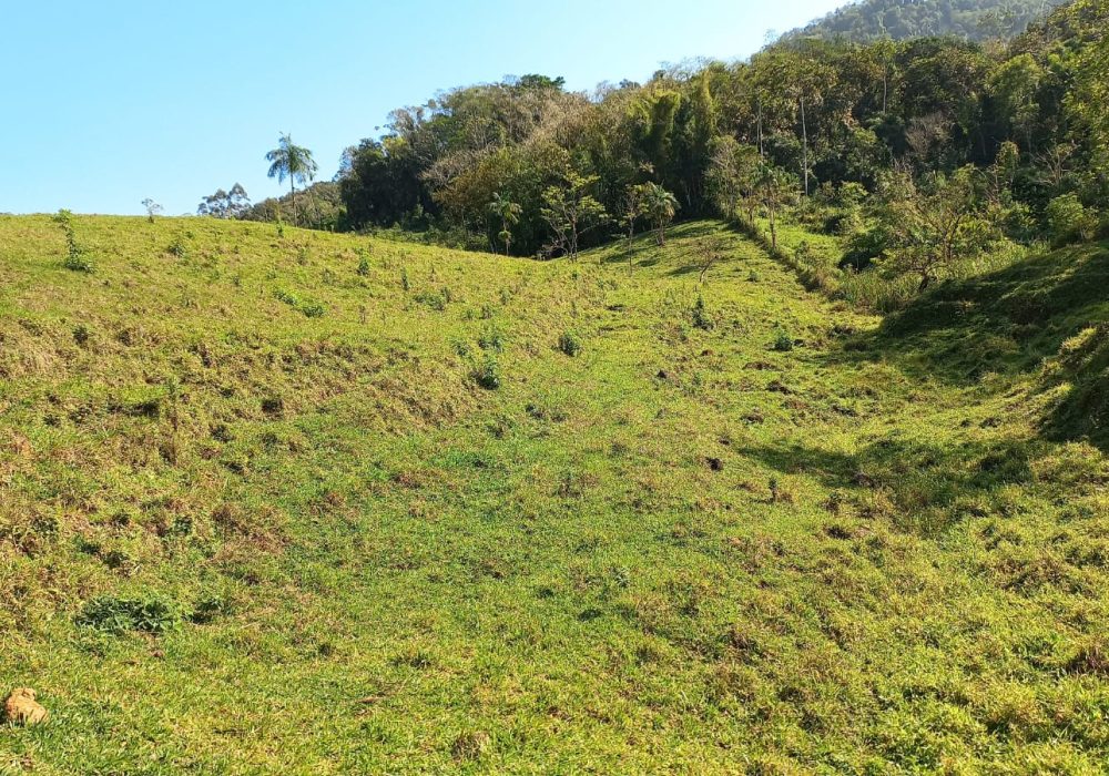 f906c414-3eac-4126-be66-6bf7be76a84d