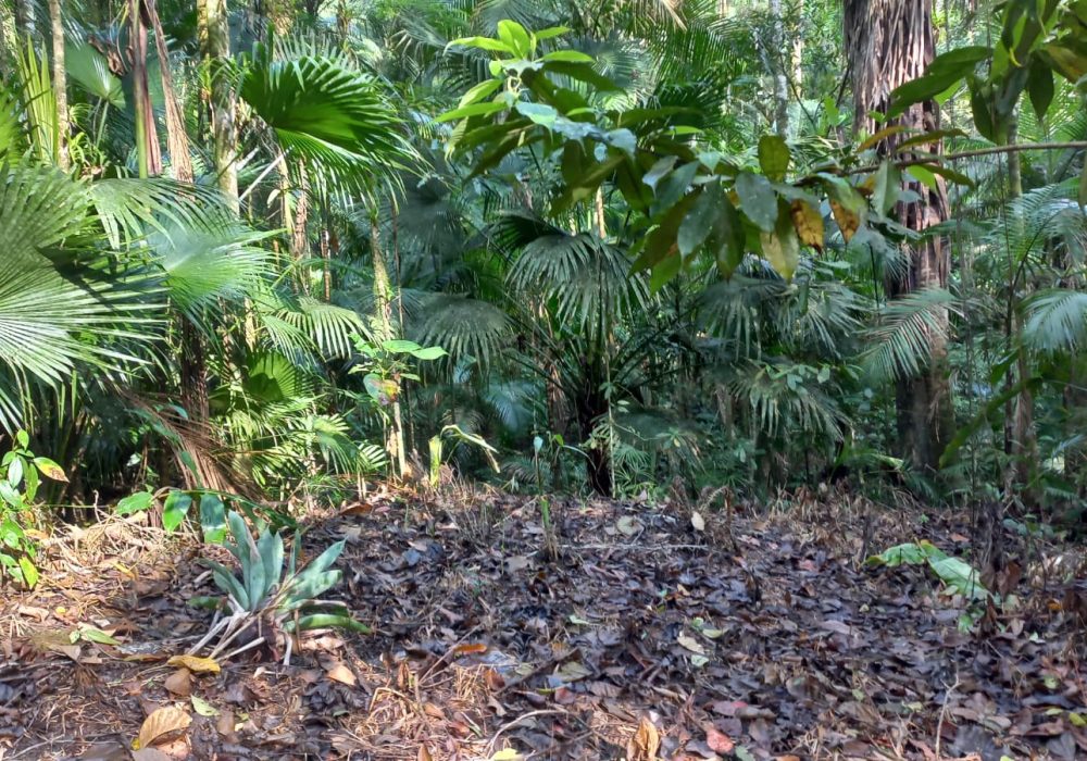 fae7c59d-2c10-4255-aece-b5abb5a33753