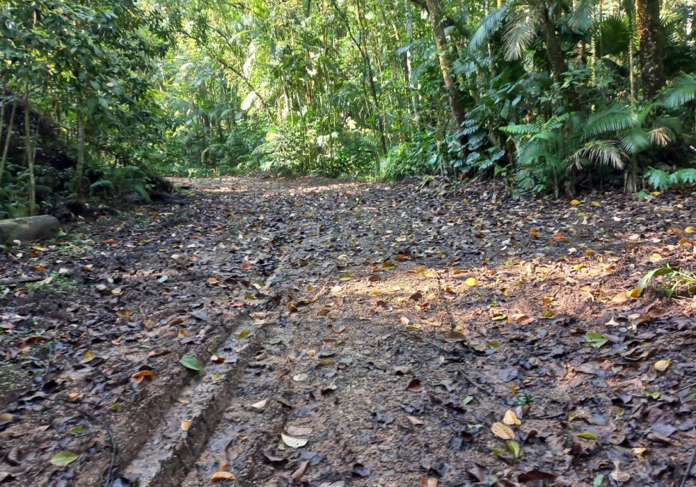 fc24882e-7cff-4270-9abf-e3764b5e868d